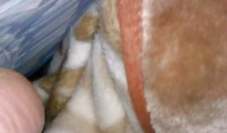 مادر آلمانی, باسن و نجات برای تعطیلات فیلم سینمایی ژاپنی سکسی مایورکا